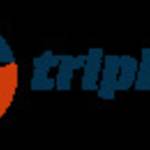 Tripbibo Travels