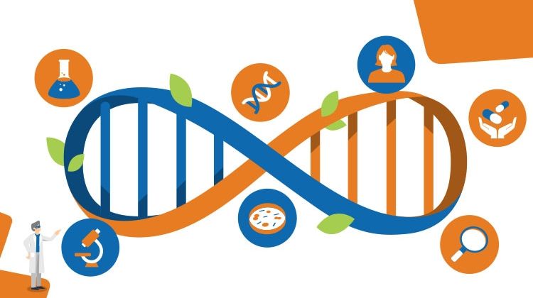 The Future of Personalized Medicine: Tailoring Treatments to Individual Needs