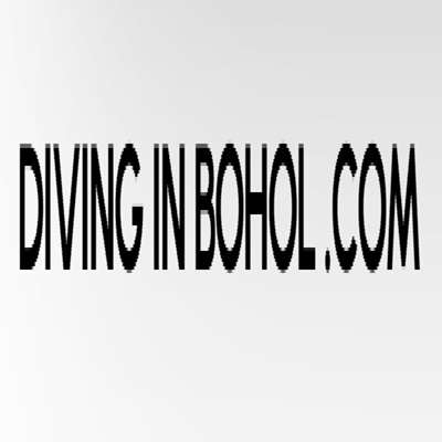 Divinginbohol com