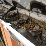 Affordable Gutter Installation Near Me Miami
