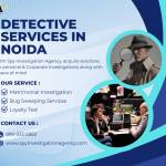 Confidential Detective Noida