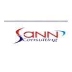 sann consulting