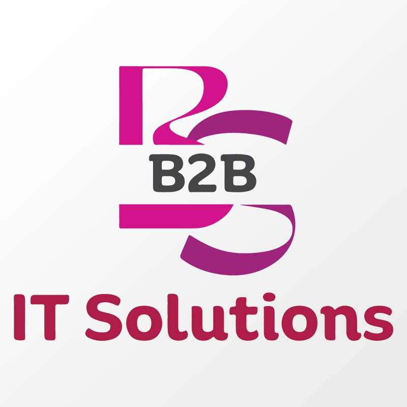 B2B IT Solutions