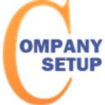 Company Setup