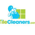 Tile Cleaners