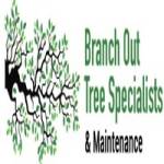 Branch Out Tree Specialist