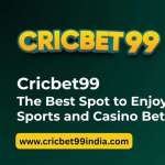 Cricbet99 504