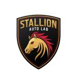 Stallion Auto Lab